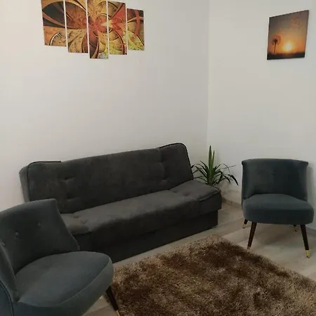 Comfy Studio Брашов
